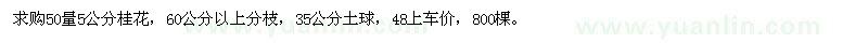 求購50量5公分桂花