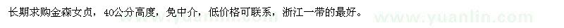 求購高40公分金森女貞