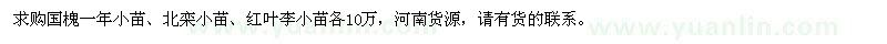 求購國槐小苗、北欒小苗、紅葉李小苗