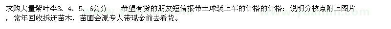 求購3、4、5、6公分紫葉李