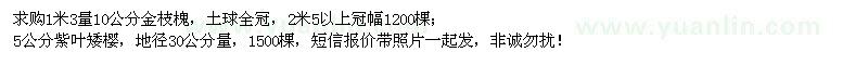 求購1米3量10公分金枝槐、5公分紫葉矮櫻