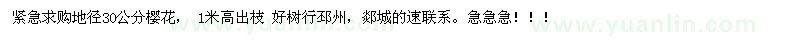 求購地徑30公分櫻花