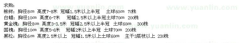 求購楸樹(shù)、白蠟、黃金槐等