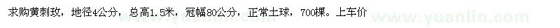 求購地徑4公分黃刺玫