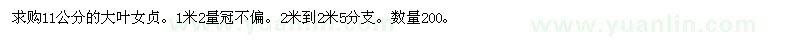 求購11公分大葉女貞