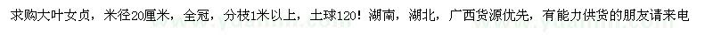 求購米徑20公分大葉女貞