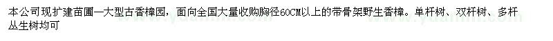 求購胸徑60公分以上香樟