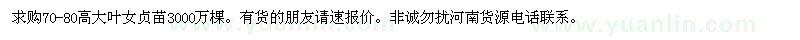 求購高70-80公分大葉女貞苗