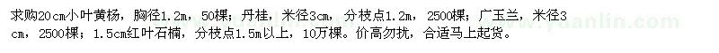 求購小葉黃楊、丹桂、廣玉蘭等
