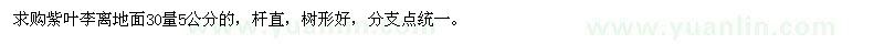 求購離地面30量5公分紫葉李