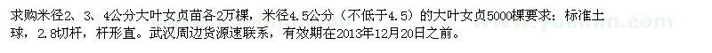 求購米徑2-5公分大葉女貞苗