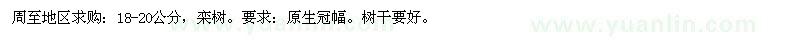 求購18-20公分欒樹 