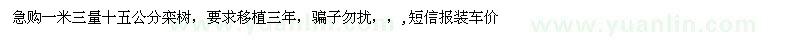 求購1.3米量15公分欒樹