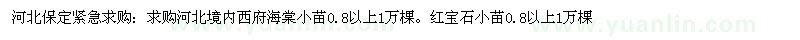 求購西府海棠