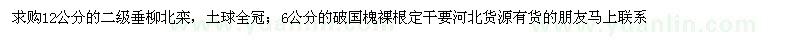 求購垂柳、北欒、破國槐