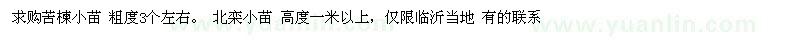 求購苦楝小苗、北欒小苗