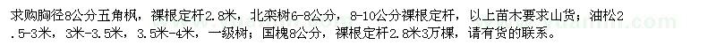 求購五角楓、北欒、油松等