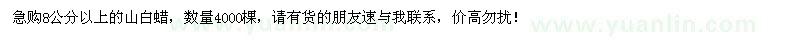求購8公分以上山白蠟