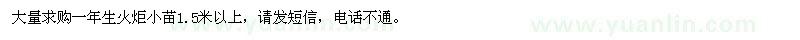 求購1.5米以上火炬小苗