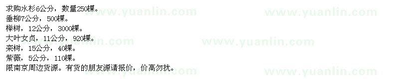 求購水杉、垂柳、櫸樹(shù)等