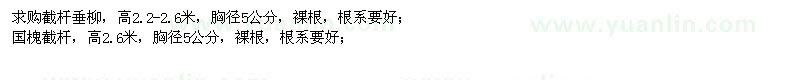 求購高2.2-2.6米垂柳、高2.6米國槐