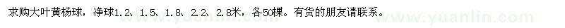 求購1.2、1.5、1.8、2.2、2.8米大葉黃楊球