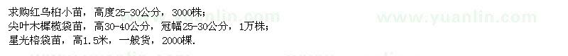 求購紅烏桕小苗、尖葉木樨欖、星光榕