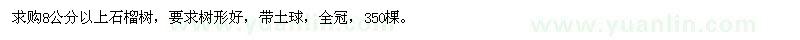 求購8公分以上石榴樹(shù)