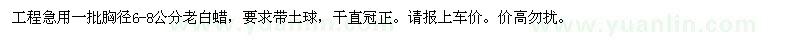 求購6-8公分老白蠟