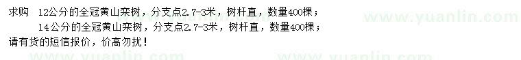 求購12、14公分黃山欒樹