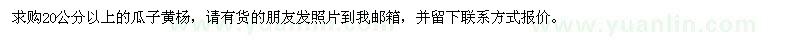 求購20公分以上的瓜子黃楊