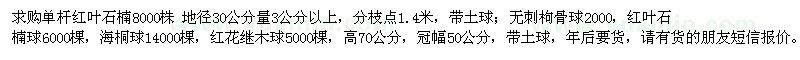 求購單桿紅葉石楠、無刺枸骨球、紅葉石楠球、海桐球、紅花繼木球