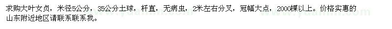 求購米徑5公分的大葉女貞