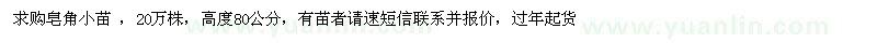 求購(gòu)皂角小苗