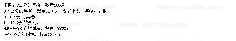 求購旱柳,臭椿,欒樹,國槐