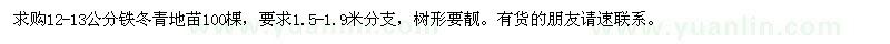 求購12-13公分鐵冬青地苗100棵