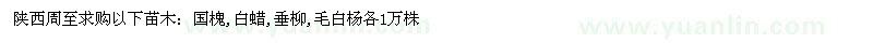 求購國槐,白蠟,垂柳,毛白楊