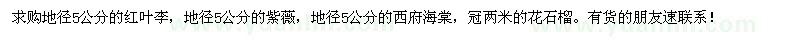 求購紅葉李、紫薇、西府海棠、花石榴