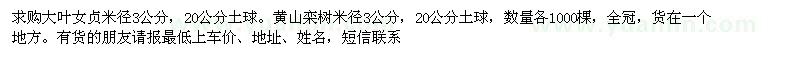 求購大葉女貞黃山欒樹米徑3公分