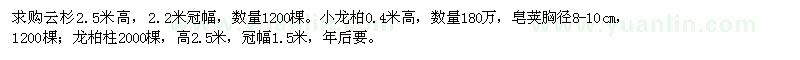 求購云杉、小龍柏、皂莢、龍柏柱