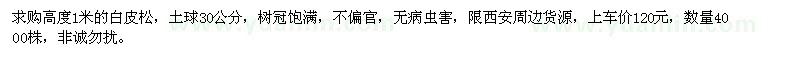 求購高度1米的白皮松