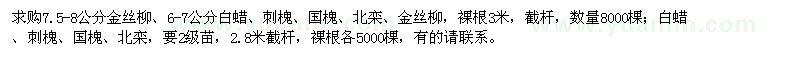 求購金絲柳,刺槐,國槐,北欒