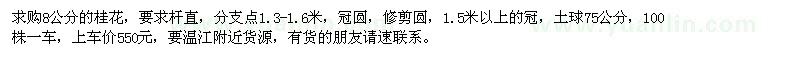求購8公分的桂花