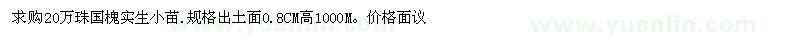 求購國槐實生小苗20萬珠