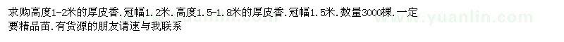 求購高度1-2米的厚皮香
