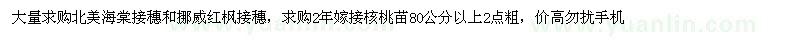 求購北美海棠接穗和挪威紅楓接穗