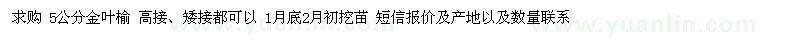 求購5公分金葉榆