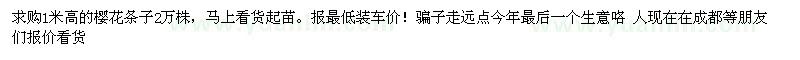 求購(gòu)1米高的櫻花條子