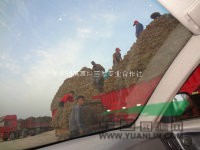 河南草坪