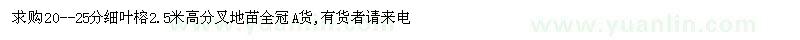 求購20--25分細葉榕
